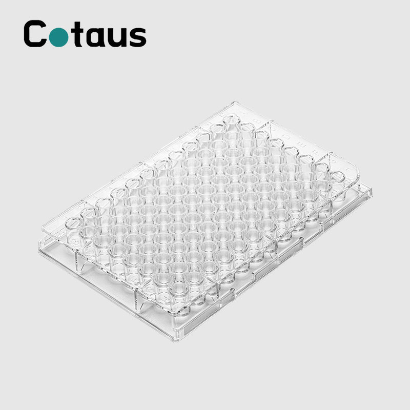 96 Well Cell Culture Plate